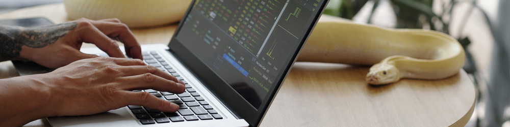 Similar image 22034925