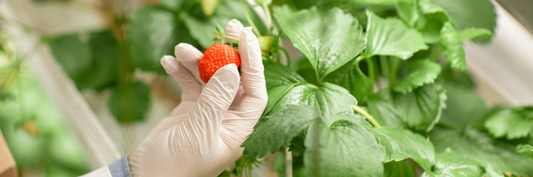 Similar image 22033742