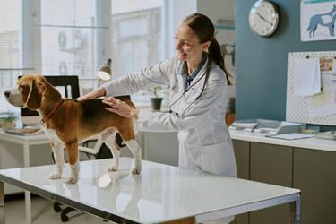 Similar image 22036177