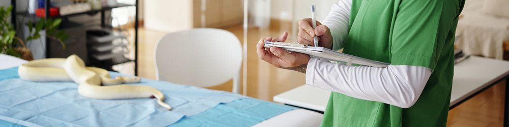 Similar image 22034934