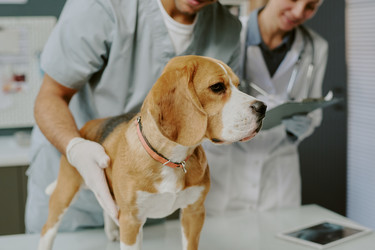 Similar image 22036230