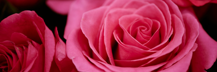 Similar image 22035906