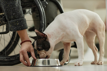 Similar image 22033278