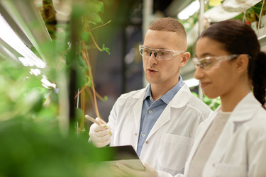 Similar image 22033759