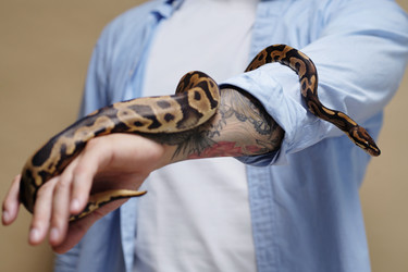 Similar image 22034951