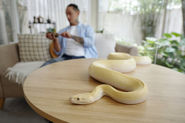 Similar image 22034982