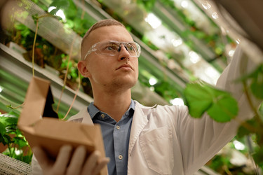 Similar image 22033780