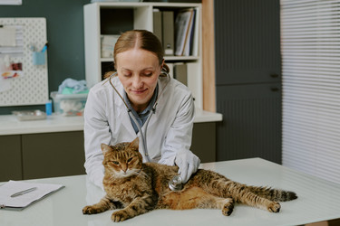 Similar image 22036245