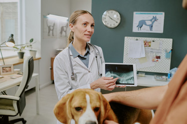 Similar image 22036216