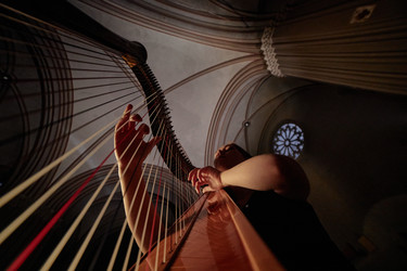 Similar image 22033590