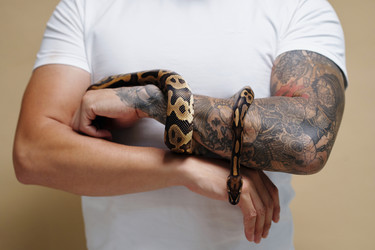 Similar image 22034955