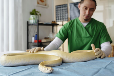 Similar image 22035006