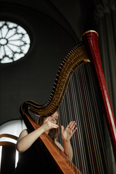 Similar image 22033545