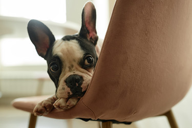 Similar image 22033256