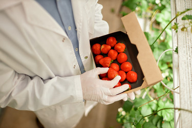 Similar image 22033776