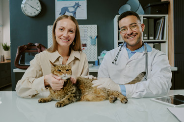 Similar image 22036191