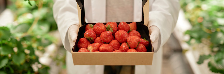 Similar image 22033749