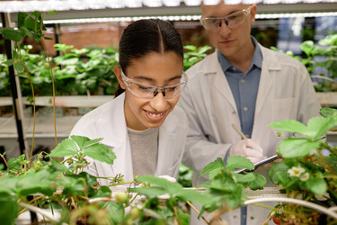 Similar image 22033757