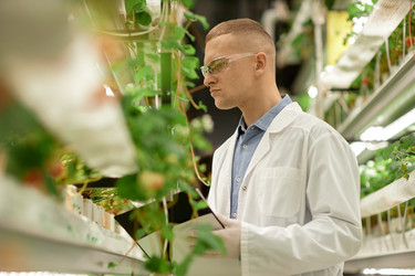 Similar image 22033760