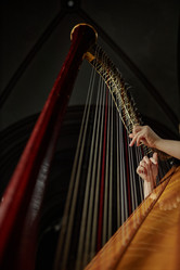 Similar image 22033536