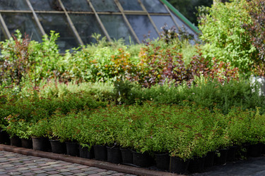 Similar image 22032992