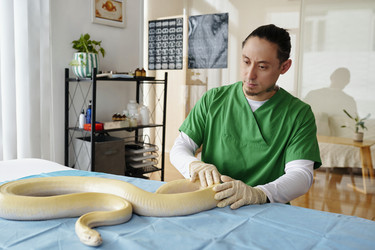 Similar image 22035004