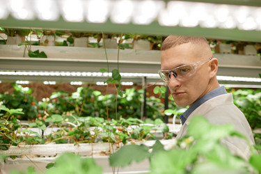 Similar image 22033710