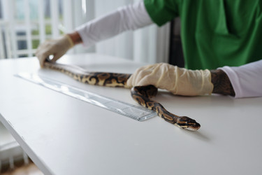 Similar image 22034927