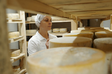 Similar image 22034270