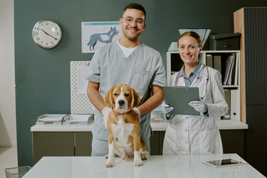 Similar image 22036234