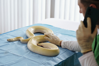 Similar image 22035018