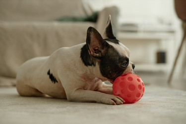 Similar image 22033252