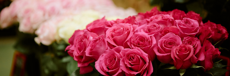 Similar image 22035899