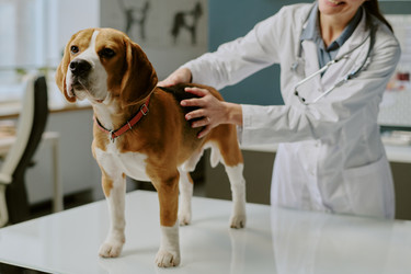 Similar image 22036173