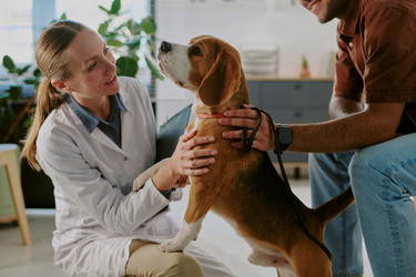 Similar image 22036194