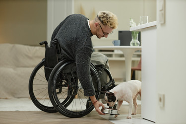 Similar image 22033276