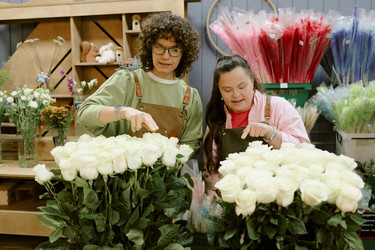 Similar image 22035886