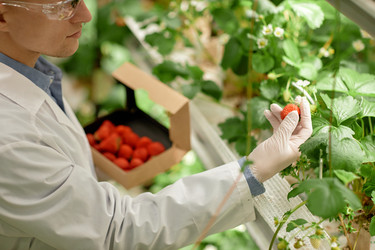 Similar image 22033771