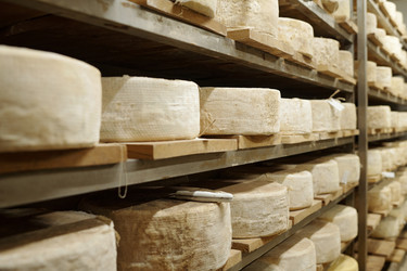 Similar image 22034354