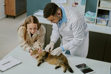 Similar image 22036176