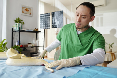 Similar image 22034989