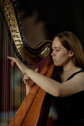 Similar image 22033534