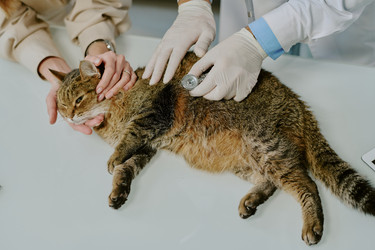 Similar image 22036178