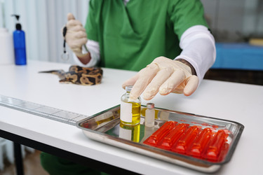 Similar image 22035029