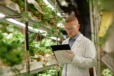 Similar image 22033753