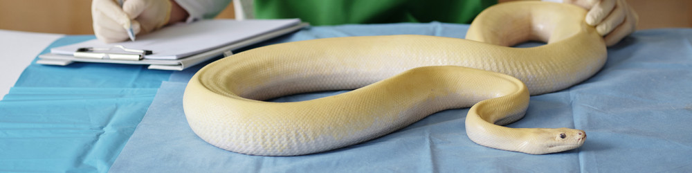 Similar image 22034940