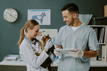 Similar image 22036148