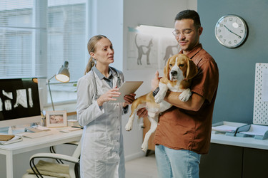 Similar image 22036209