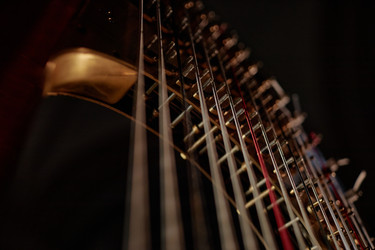 Similar image 22033569