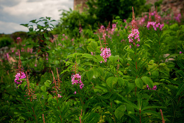 Similar image 22046287